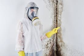 Best Mold Remediation for Healthcare Facilities  in USA